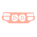 سینی فن